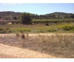 Finca rustica en Venta en Alfarp, Valencia