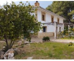 CHALET EN CARLET. PI DE LA CABRA.