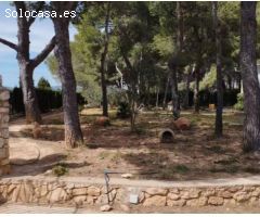 CHALET EN CARLET. PI DE LA CABRA.