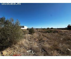 ¡OPORTUNIDAD! VENTA DE TERRENO EN POLÍGONO DE CARLET – CARRETERA DE LA CREU NEGRA