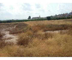 Suelo Urbanizable en Alcàntera de Xúquer