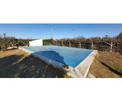 FINCA EN EL TARRAGOSO
