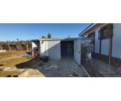 FINCA EN EL TARRAGOSO