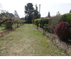 Finca rustica en Venta en Villamuriel de Cerrato, Palencia