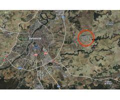 SE VENDE TERRENO URBANO EN RENEDO DE ESGUEVA
