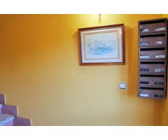 Presentamos un acogedor piso en Viana
