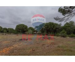 Terreno urbano en Tudela de Duero