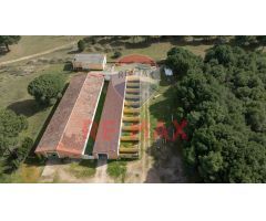 VIVIENDA Y RESIDENCIA CANINA