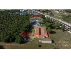 VIVIENDA Y RESIDENCIA CANINA
