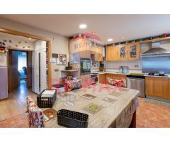 VIVIENDA Y RESIDENCIA CANINA