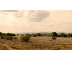 Terreno rural en Venta en Algete, Madrid