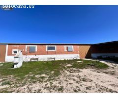 FINCA CON NAVE PARA EXPLOTACIÓN AGRARIA DE GALLINAS CAMPERAS EN MÉNTRIDA (TOLEDO)