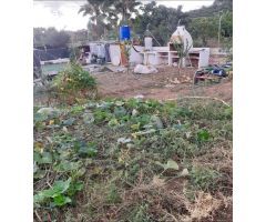 Finca Rustica en la Nucia