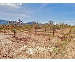 Retiro en la Naturaleza: Terreno Recreativo con Vistas Panorámicas en Laujar