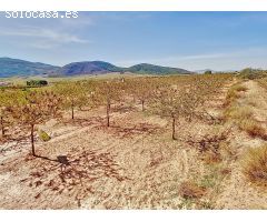 Retiro en la Naturaleza: Terreno Recreativo con Vistas Panorámicas en Laujar