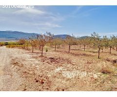 Retiro en la Naturaleza: Terreno Recreativo con Vistas Panorámicas en Laujar