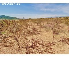 Retiro en la Naturaleza: Terreno Recreativo con Vistas Panorámicas en Laujar