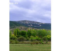 Balneario de Camarena de la Sierra en venta con 55.000 m2 de terreno