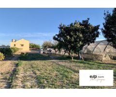 Casa en la huerta Valenciana en la zona de la Ribera Baixa