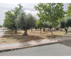 PARCELAS URBANAS EN BURGUILLOS DE TOLEDO