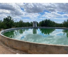 Se vende Finca Rustica con Masia y abundante agua en Reus