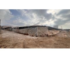 Hectárea de invernadero en venta en La Venta del Viso, La Mojonera
