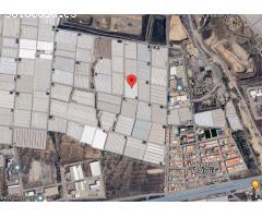 Hectárea de invernadero en venta en La Venta del Viso, La Mojonera