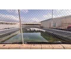 Hectárea de invernadero en venta en La Venta del Viso, La Mojonera