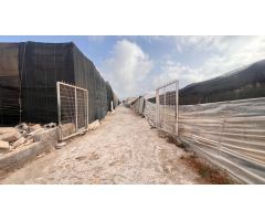 Hectárea de invernadero en venta en La Venta del Viso, La Mojonera