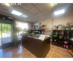 LOCAL COMERCIAL EN TOLEDO - AVENIDA MADRID 47