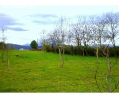 VENTA PARCELA en VIDRIERA - LLANERA (ASTURIAS)