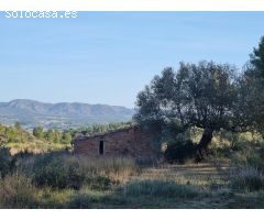 TERRENO RUSTICO CON CASITA EN RIBERA DEBRE