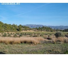 TERRENO RUSTICO CON CASITA EN RIBERA DEBRE