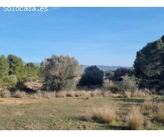 TERRENO RUSTICO CON CASITA EN RIBERA DEBRE