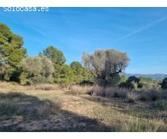 TERRENO RUSTICO CON CASITA EN RIBERA DEBRE