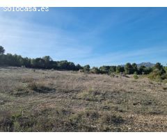TERRENO RUSTICO CON CASITA EN RIBERA DEBRE