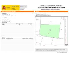 ???? Finca rustica de olivos organicos en venta ????