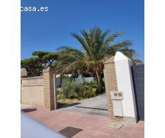 Maravillosa Charlet en Playa La Barrosa, Costa Sancti Petri