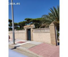 Maravillosa Charlet en Playa La Barrosa, Costa Sancti Petri