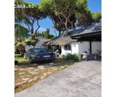 Maravillosa Charlet en Playa La Barrosa, Costa Sancti Petri