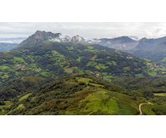 Terreno + inmueble en venta en Vía, 637