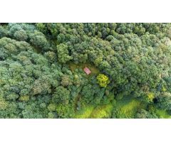 Terreno + inmueble en venta en Vía, 637