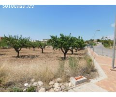 Amplia Parcela de 877 m² en Urbanización El Llano de Caravaca