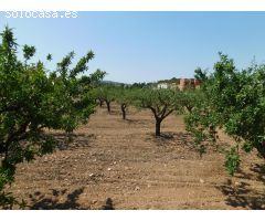 Amplia Parcela de 877 m² en Urbanización El Llano de Caravaca