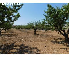 Amplia Parcela de 877 m² en Urbanización El Llano de Caravaca