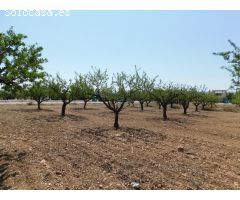 Amplia Parcela de 877 m² en Urbanización El Llano de Caravaca