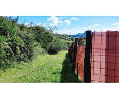 Construye tu hogar en el corazón de la naturaleza