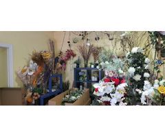 Local Comercial en venta en Rentabilidad - Cambio de uso permitido