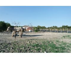 FINCA RÚSTICA EN LA JARA