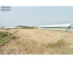 OCASION  PARCELA RUSTICA DE 1290 METROS